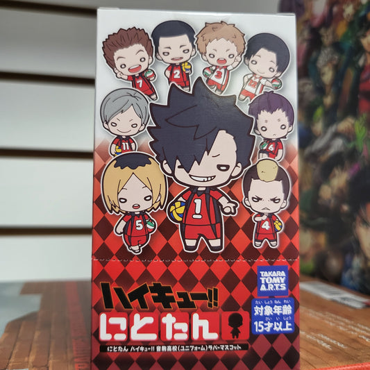 Haikyuu Rubber Keychain Blind Box