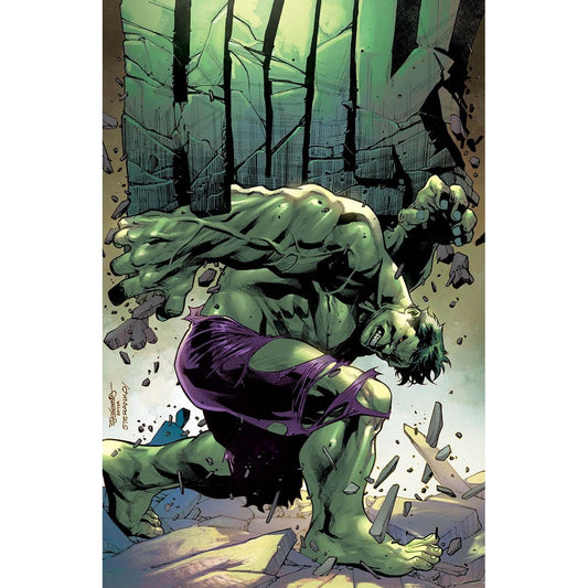 HULK #2 UNKNOWN COMICS STEPHEN SEGOVIA EXCLUSIVE VIRGIN VAR (12/15/2021)